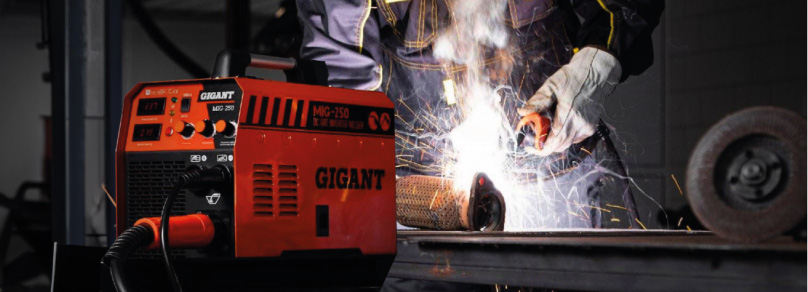 В 2015 и 2017 годах вывели на рынок первые собственные бренды – INFORCE и GIGANT