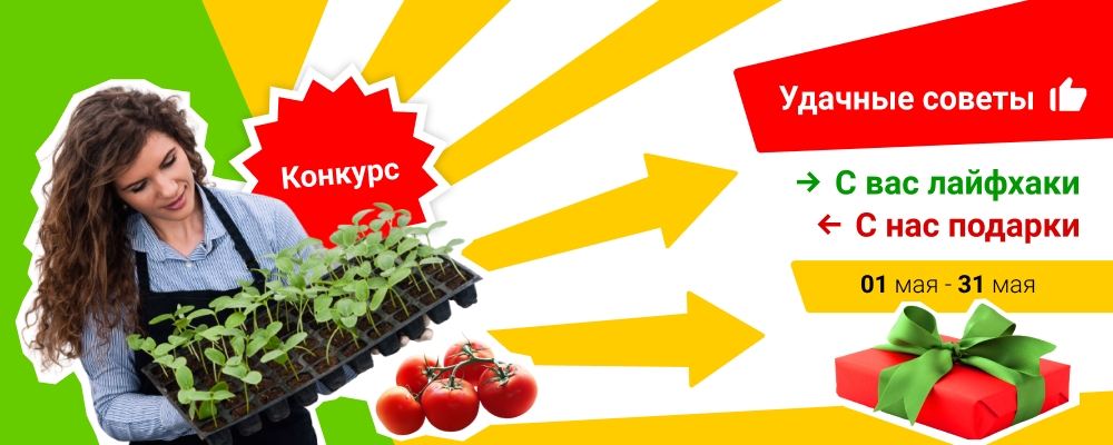 С вас лайфхаки, с нас подарки
