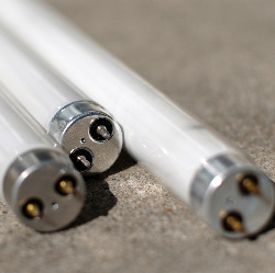 lampy2