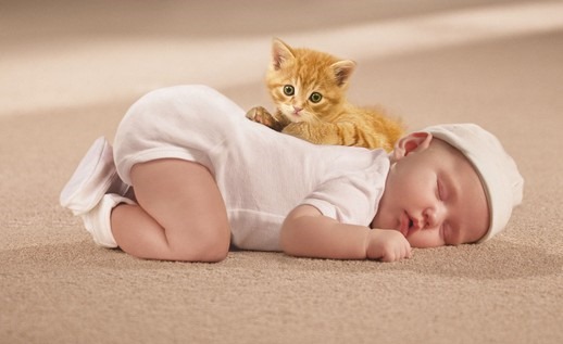 Теплые полы под ковер