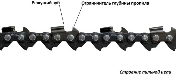 Услуги и сервис
