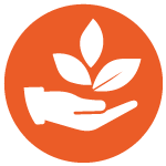icon3