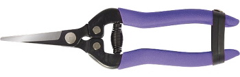 palisad-60554