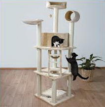 images21